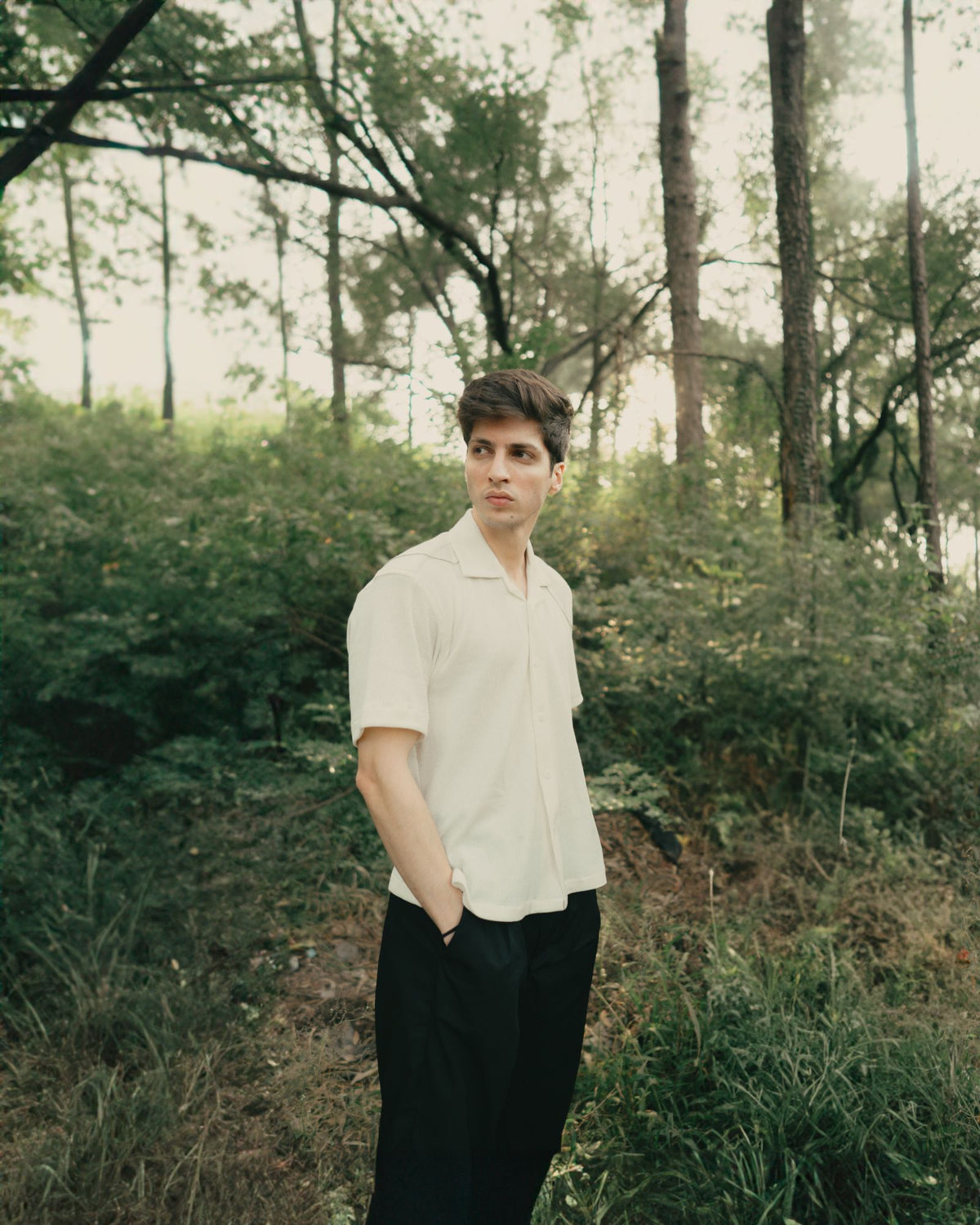 In the pines.